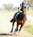 Trackwork Rider/Stablehand Wanted