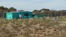 Harness racing training facility
