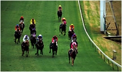 Are you passionate about racing? Are you a wordsmith? Would you like your opinion to be heard?