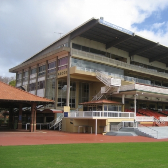 Ascot R6. Magic Millions Tattersall's Cup 